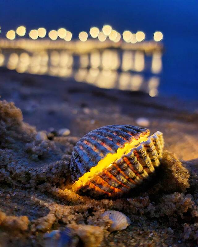 Wyróżnienie jury w kat. Moja Iluminacja