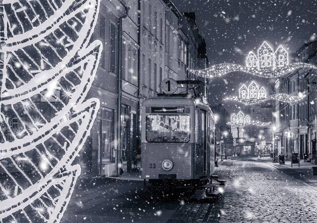 Wyróżnienie jury w kat. Moje Miasto