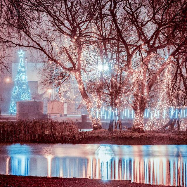 Wyróżnienie jury w kat. Moje Miasto