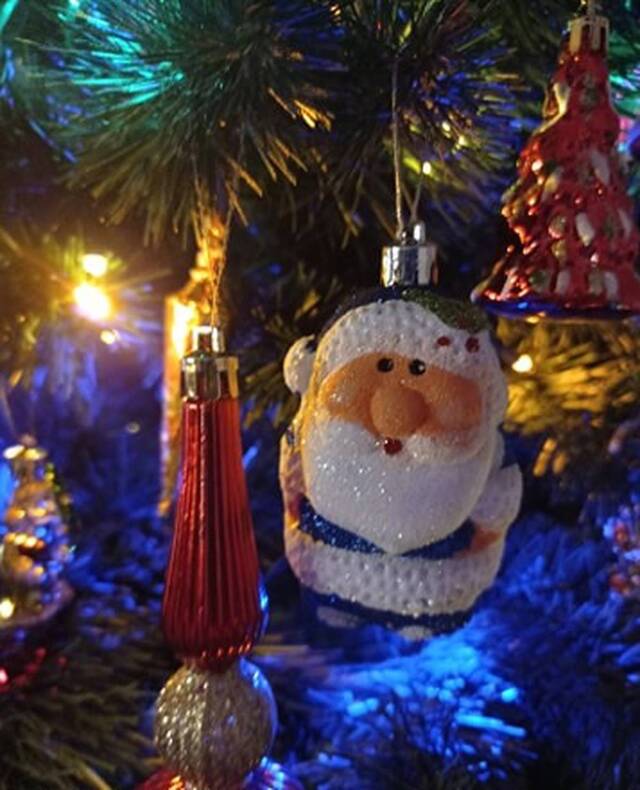 I miejsce w głosowaniu publiczności - województwo opolskie