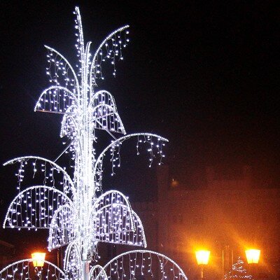 Finalista plebiscytu Świeć Się z Energą w 2019 r.