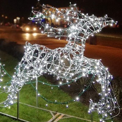 Finalista plebiscytu Świeć Się z Energą w 2019 r.