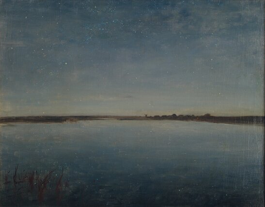 Józef Chełmoński, Noc gwiaździsta, olej na płótnie, 1888, obiekt stanowiący własność prywatną w depozycie Muzeum Narodowego w Krakowie.jpg