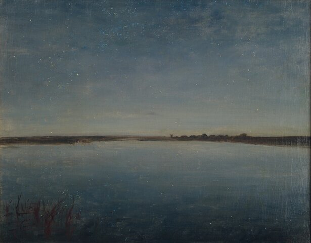 Józef Chełmoński, Noc gwiaździsta, olej na płótnie, 1888, obiekt stanowiący własność prywatną w depozycie Muzeum Narodowego w Krakowie.jpg