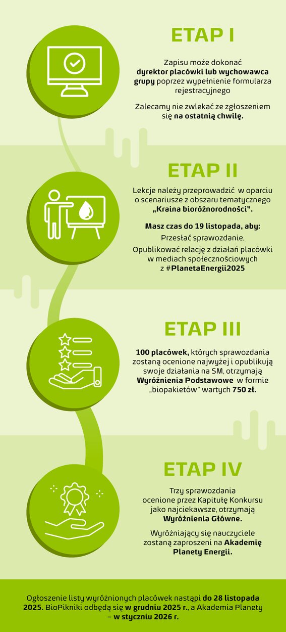 zasady infografika v2 pion