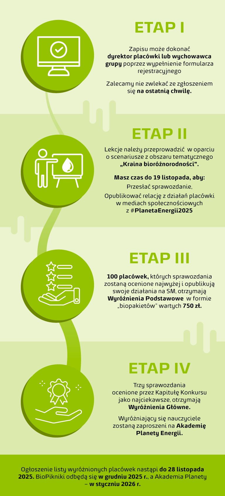 zasady infografika v2 pion
