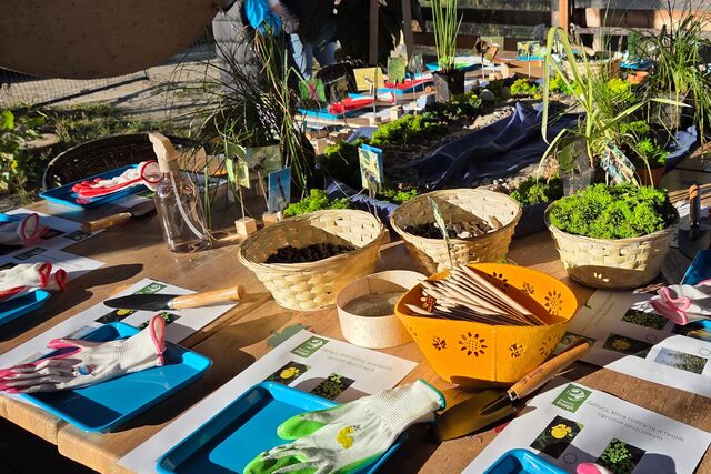 Planeta Energii Inauguracja 2025 - warsztaty