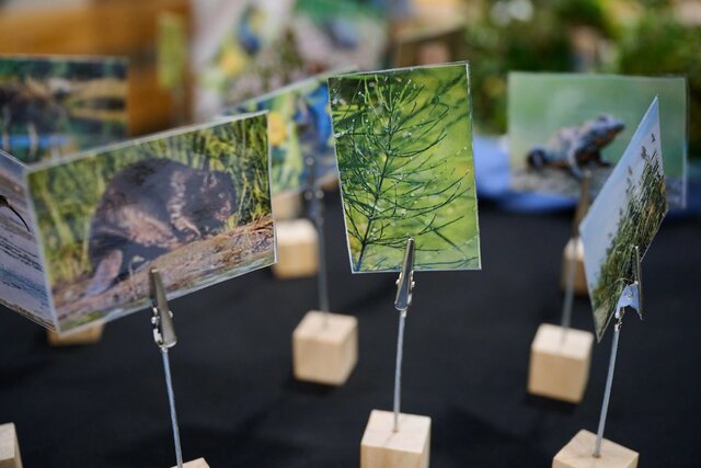 BioPiknikPlanetyEnergiiKłodawa (4)