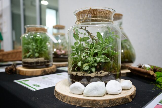 BioPiknikPlanetyEnergiiKłodawa (7)