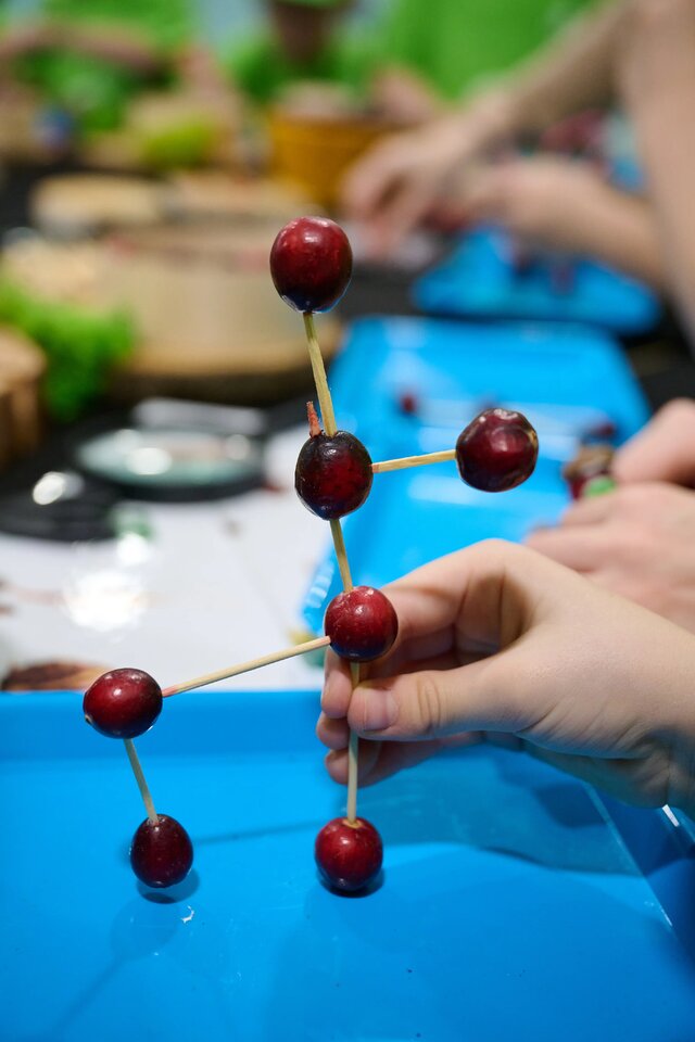 BioPiknikPlanetyEnergiiKłodawa (157)