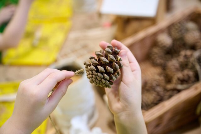 BioPiknikPlanetyEnergiiKłodawa (179)