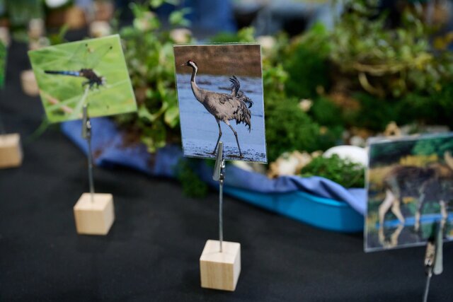 BioPiknikPlanetyEnergiiKłodawa (243)