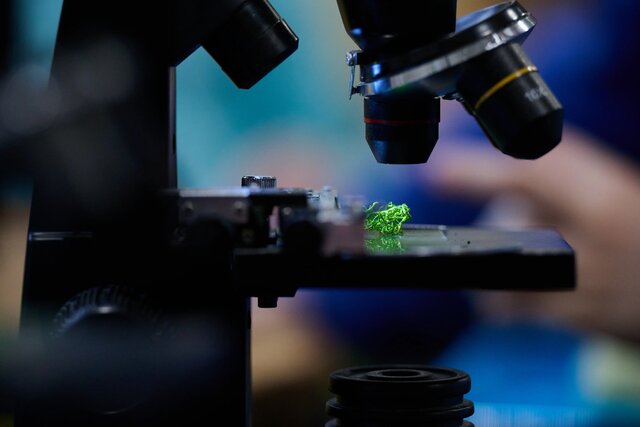 BioPiknikPlanetyEnergiiKłodawa (291)