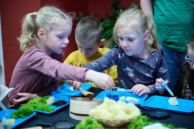 BioPiknik Planety Energii w Strzelcach Krajeńskich (100)