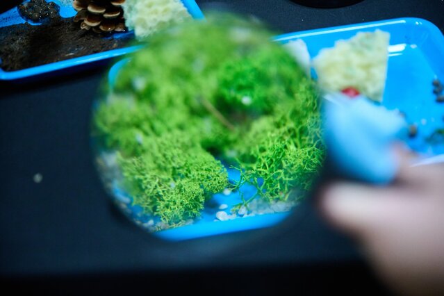 BioPiknik Planety Energii w Strzelcach Krajeńskich (124)