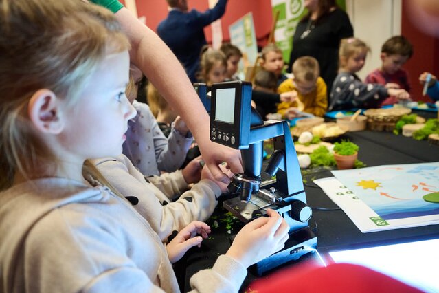BioPiknik Planety Energii w Strzelcach Krajeńskich (155)