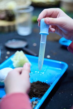 BioPiknik Planety Energii w Strzelcach Krajeńskich (160)