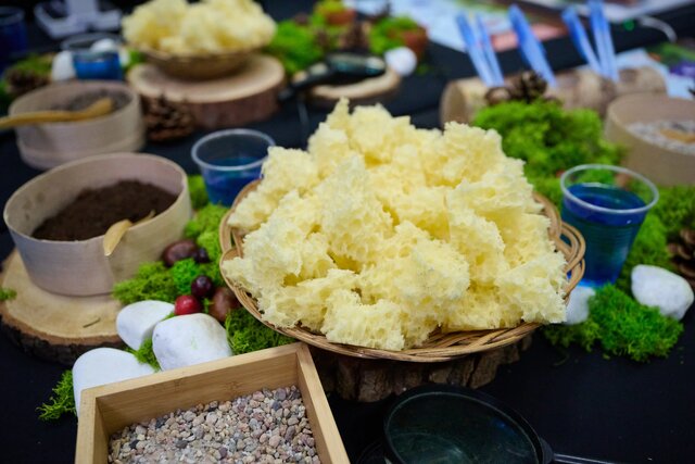 BioPiknik Planety Energii w Smólniku (74)