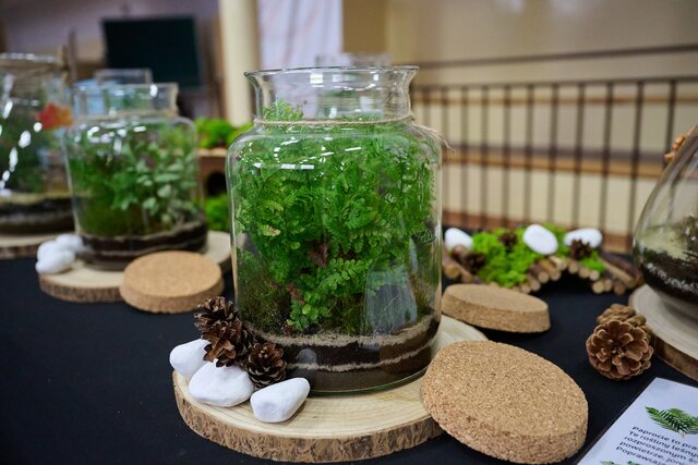 BioPiknik Planety Energii w Smólniku (78)