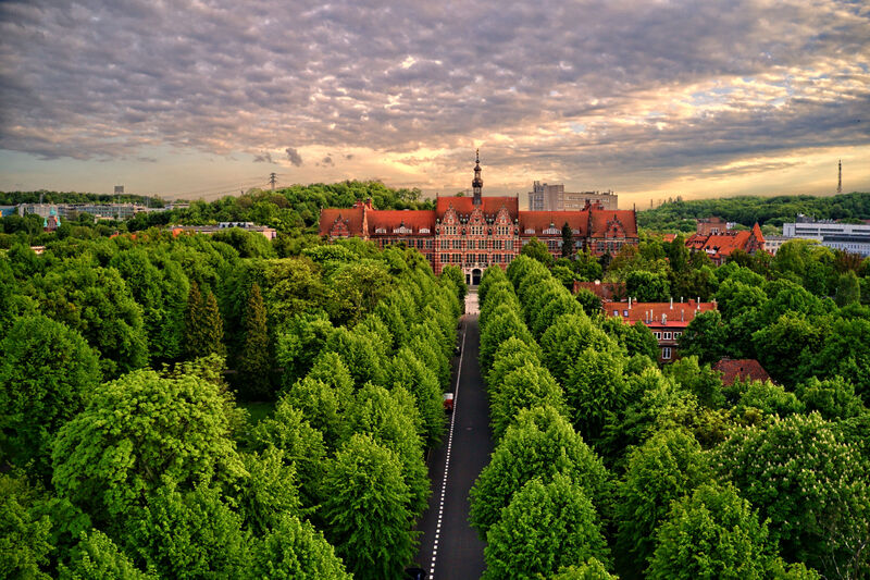 Fot. Mariusz Zawolski FlyForYou/PG