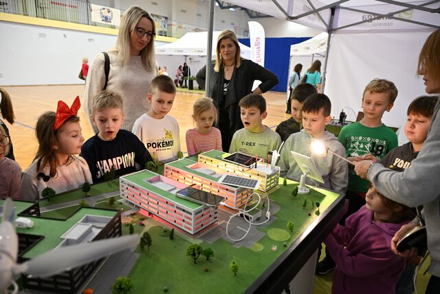 Bezpieczna Kraina w Tczewie