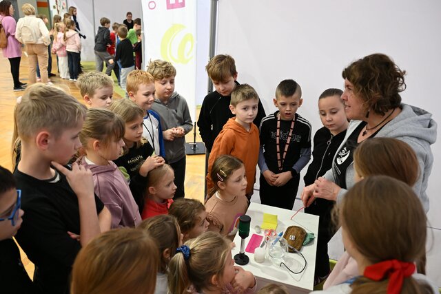 Bezpieczna Kraina w Tczewie