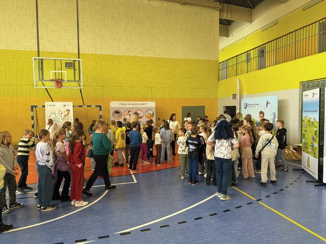 Bezpieczna Kraina w Grudziądzu