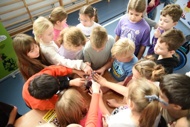 Bezpieczna Kraina w Brześciu Kujawskim