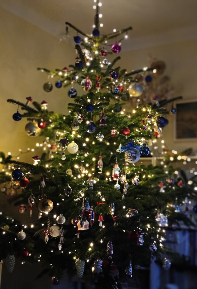 Wyróżnienie jury w kategorii Mój Dom