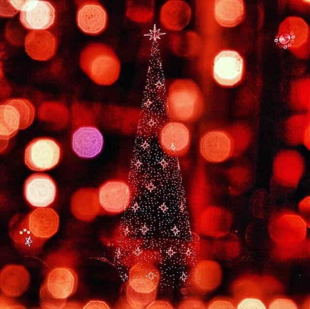 Wyróżnienie jury w kategorii Moje Miasto