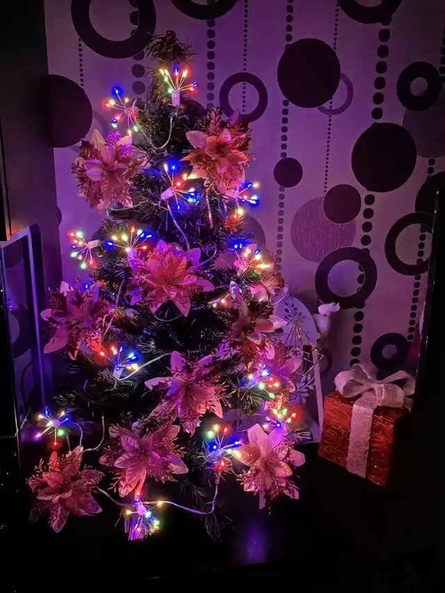 I miejsce w głosowaniu publiczności w kategorii Mój Dom