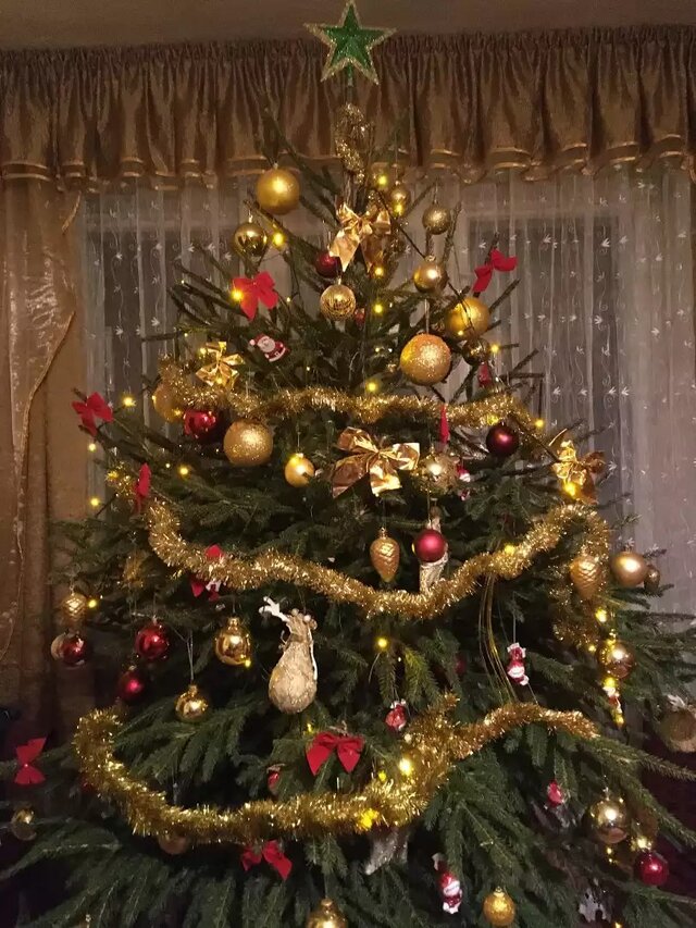 II miejsce w głosowaniu publiczności w kategorii Mój Dom