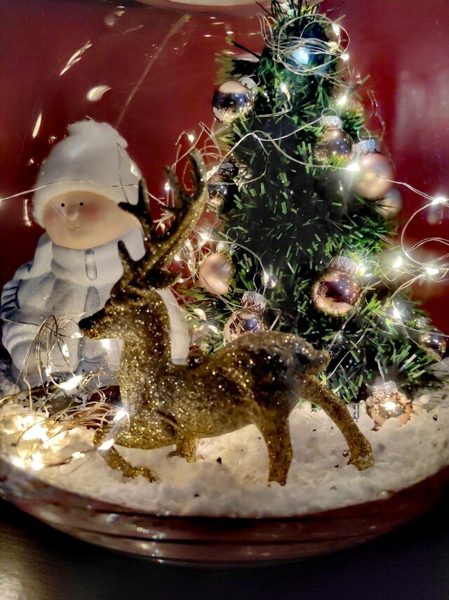 II miejsce w głosowaniu publiczności