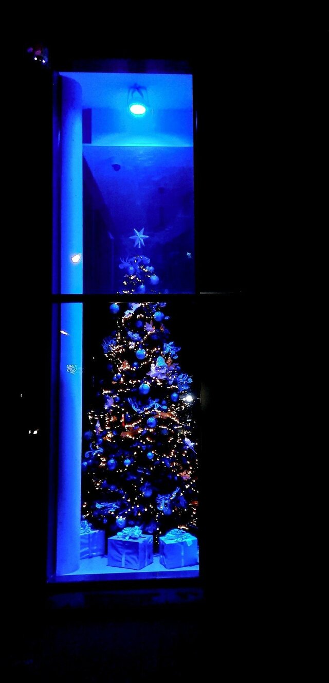 Wyróżnienie jury w kategorii Mój Dom