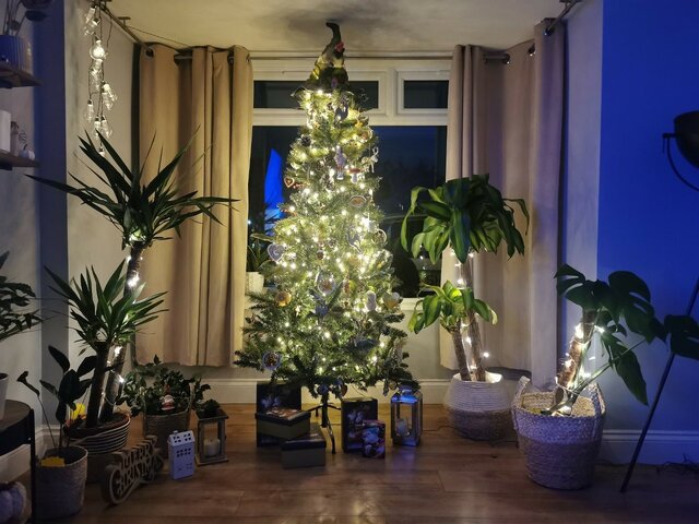 Wyróżnienie jury w kategorii Mój Dom