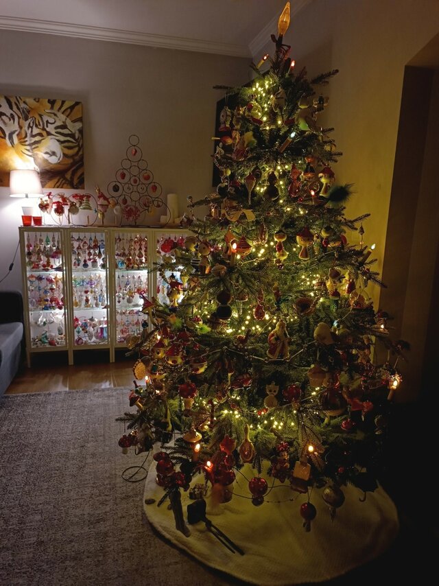 Wyróżnienie jury w kategorii Mój Dom