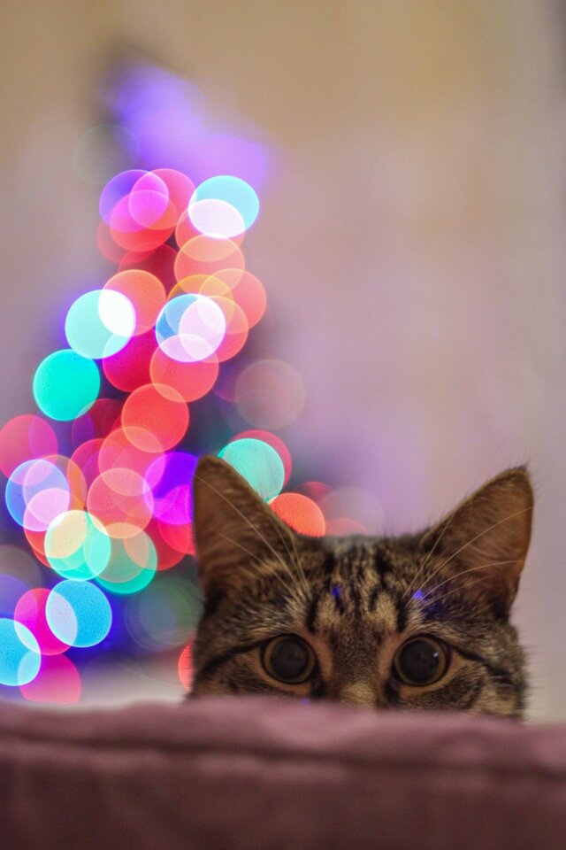 Wyróżnienie jury w kategorii Moi Bliscy