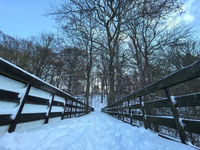 Akademia Planety Energii na Kaszubach  (53)