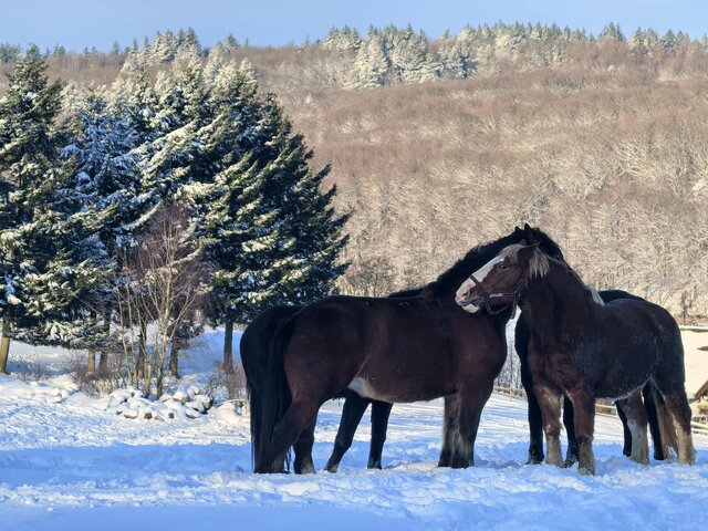 Akademia Planety Energii na Kaszubach  (56)