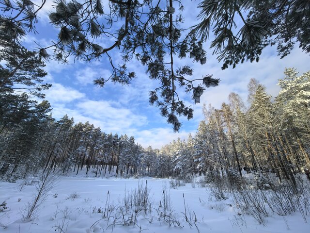 Akademia Planety Energii na Kaszubach  (59)