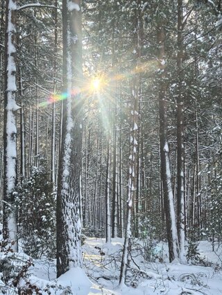 Akademia Planety Energii na Kaszubach  (60)