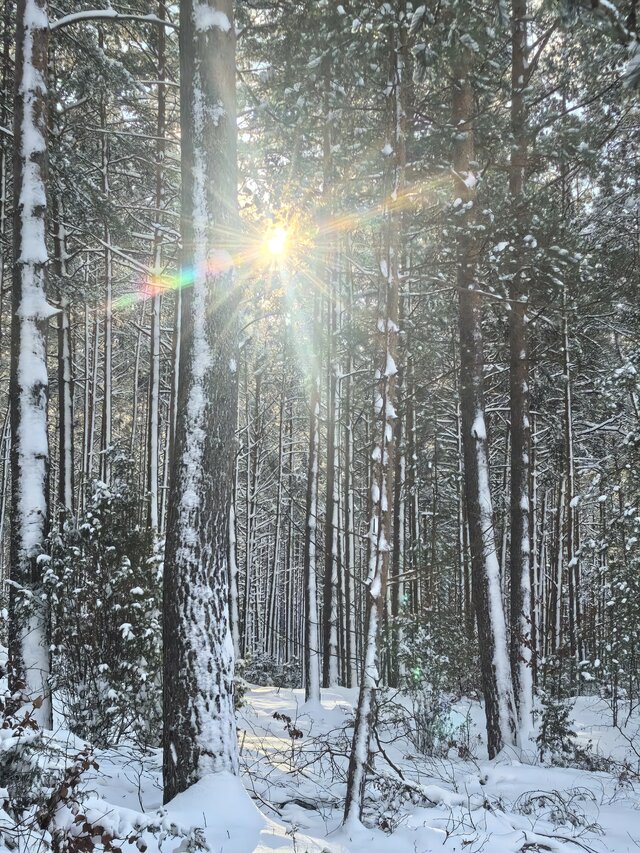 Akademia Planety Energii na Kaszubach  (60)