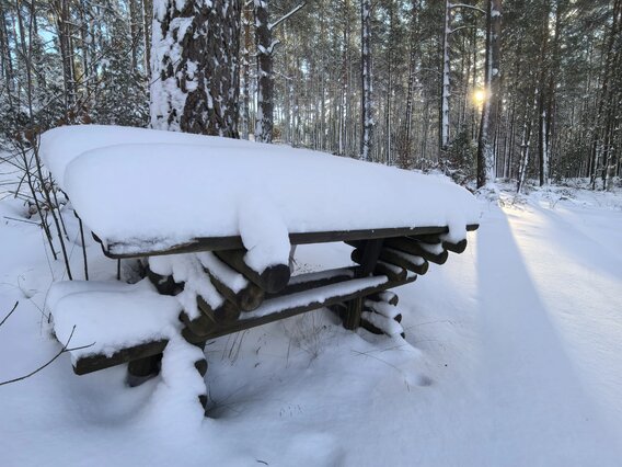 Akademia Planety Energii na Kaszubach  (61)