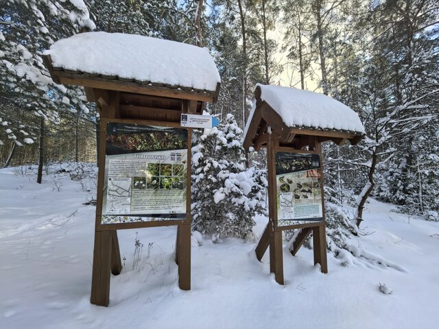 Akademia Planety Energii na Kaszubach  (62)