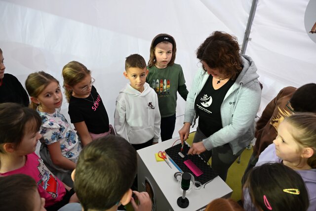 Bezpieczna Kraina w Jarocinie