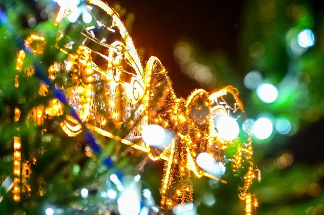 Laureat plebiscytu Świeć Się z Energą w 2025 r. w województwie warmińsko-mazurskim. Źródło: Polska Press Grupa