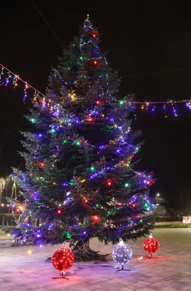 Źródło: Polska Press Grupa