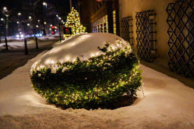 Krzysztof Skarżyński