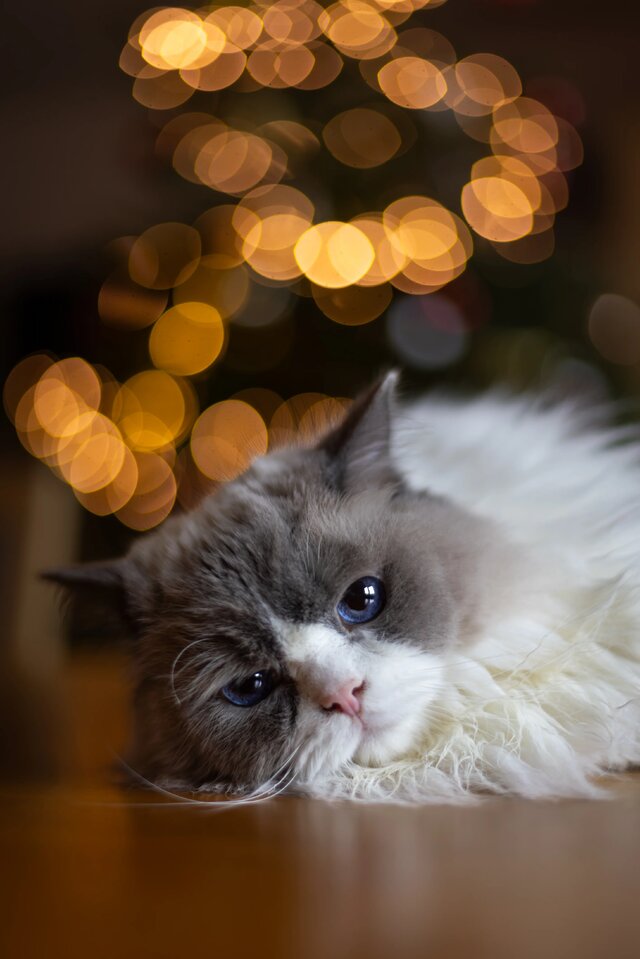 Wyróżnienie jury w kategorii Moi Bliscy