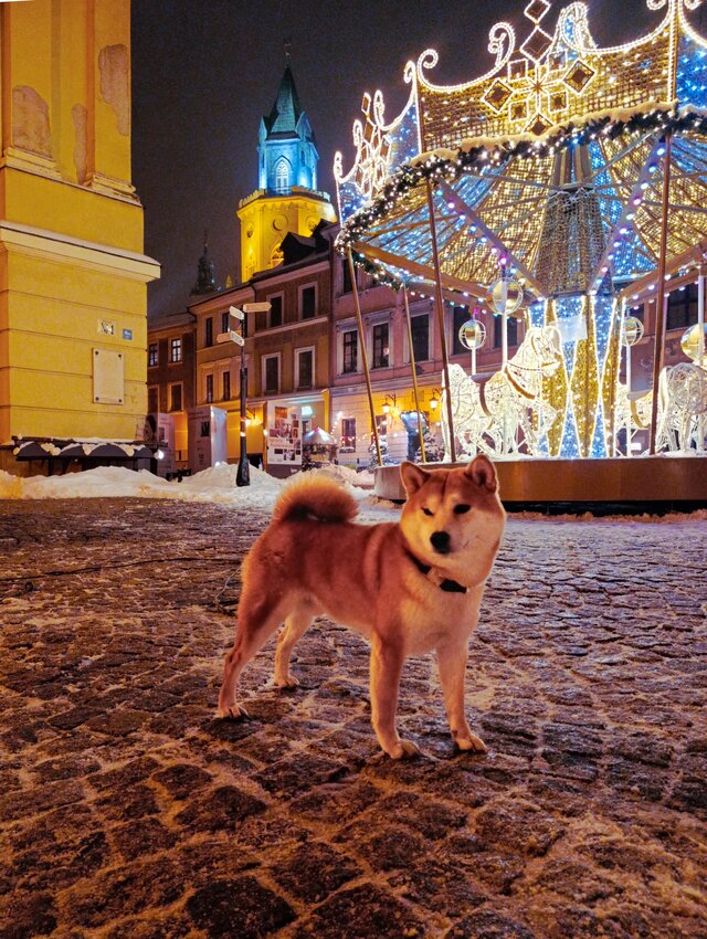 II miejsce w głosowaniu publiczności